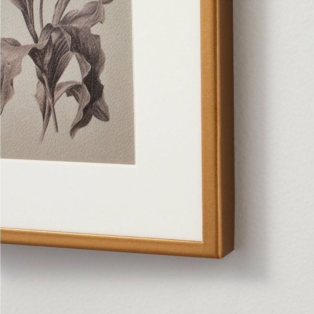 Hearth & Hand Magnolia 6x8 Floral Sketch Framed Wall Art Cream/Gray (Set… - Picture 3 of 7